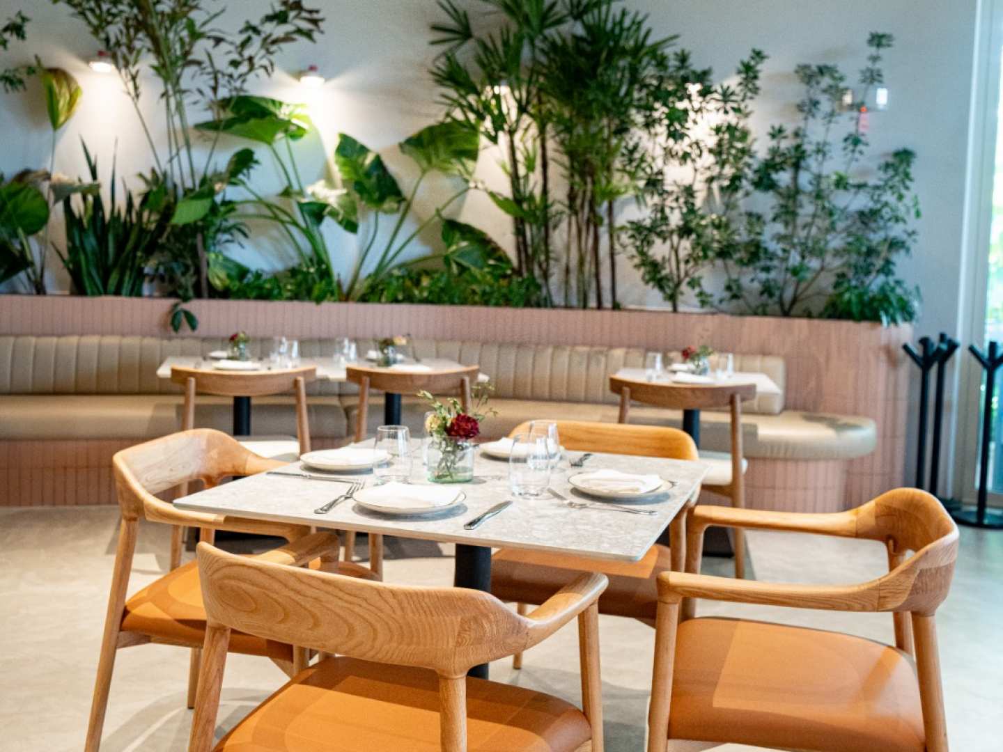 Botánica Pizza (Costa del Este)