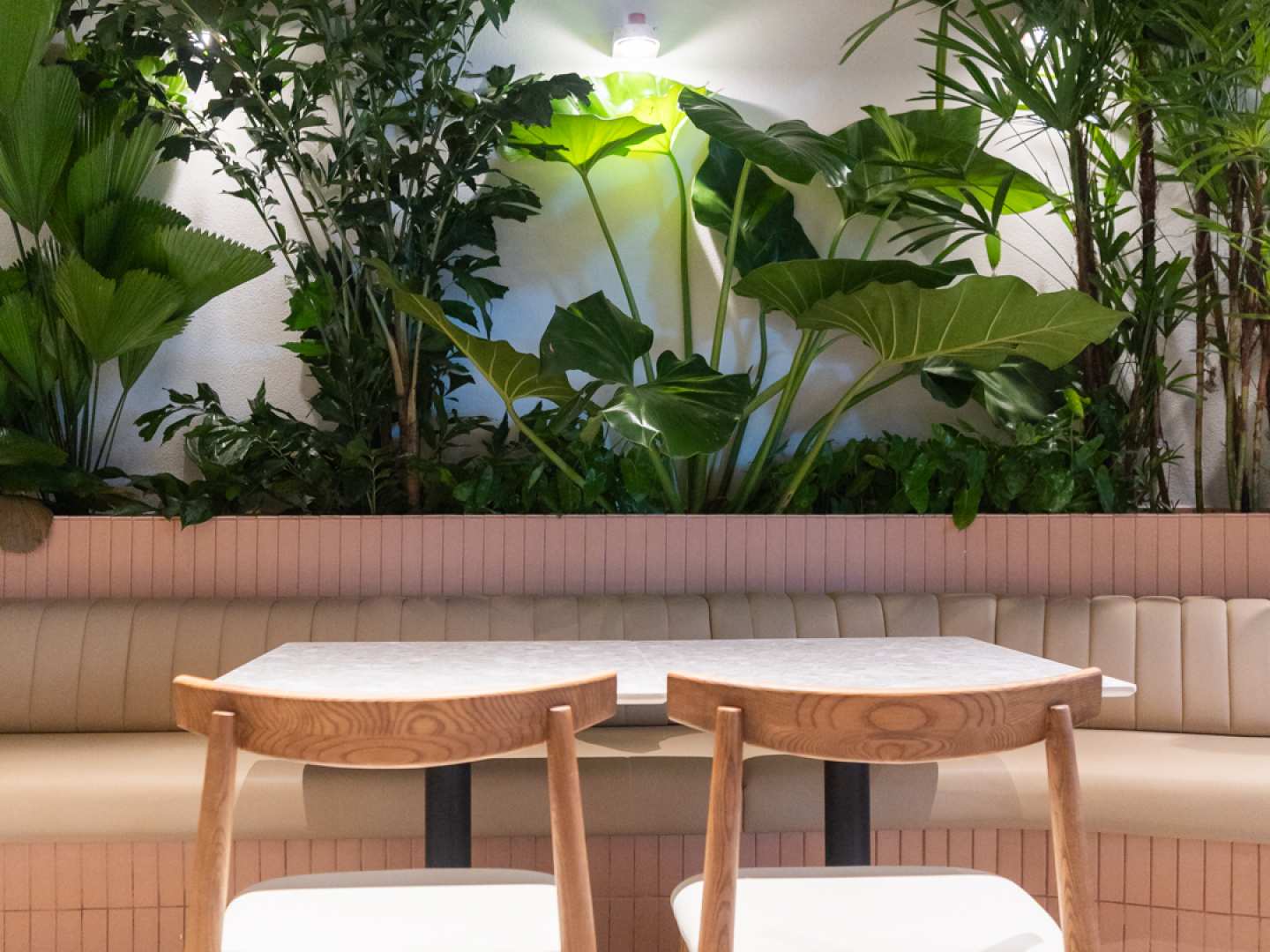 Botánica Pizza (Costa del Este)