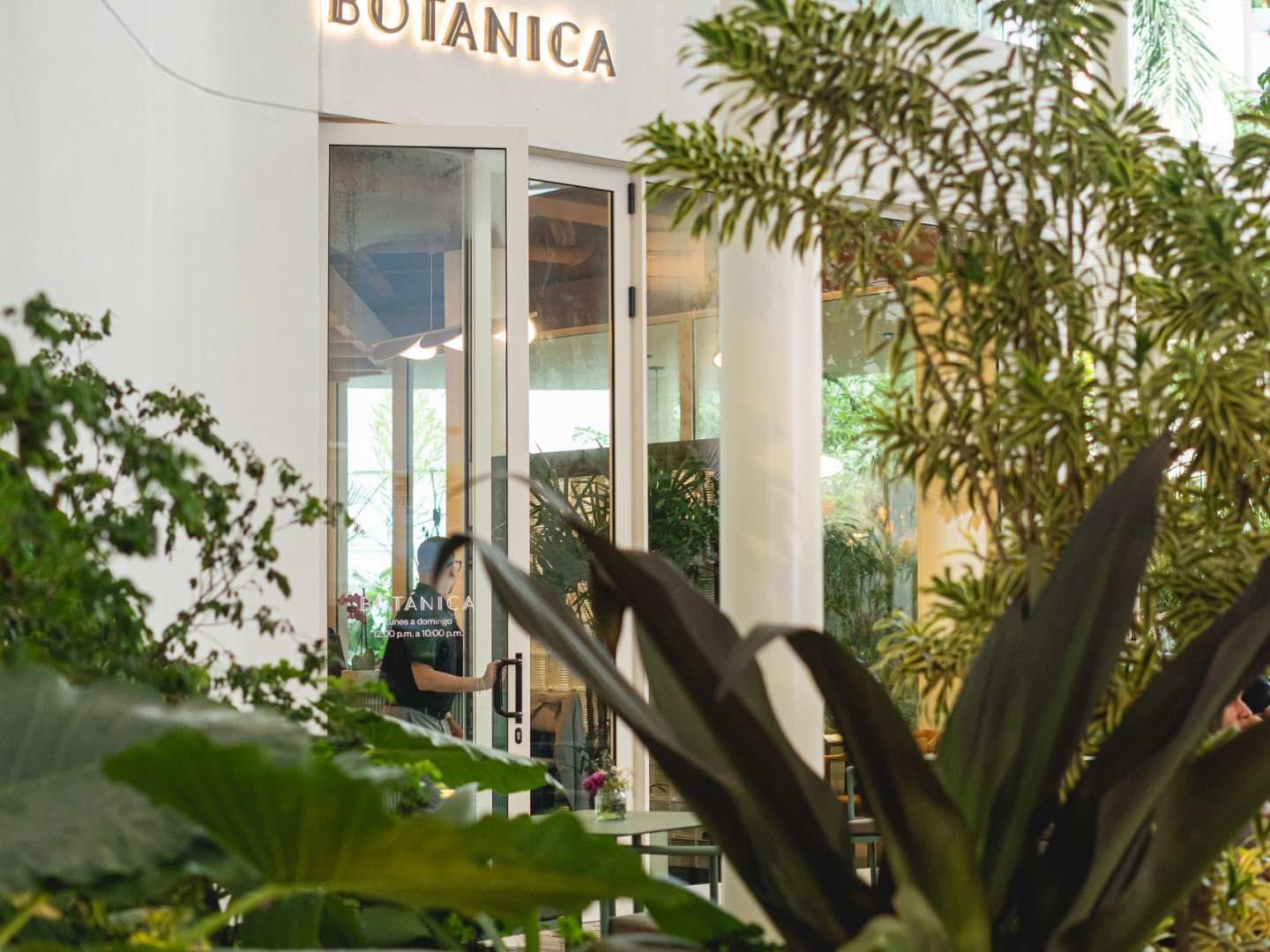 Botánica Pizza (Costa del Este)