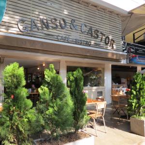 Ganso y Castor