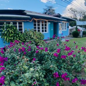 Casa Vieja