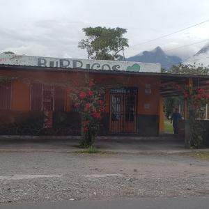 Burricos