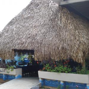 Mar Caribe