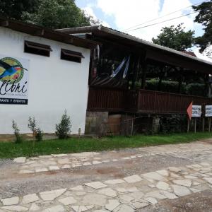 Colibrí