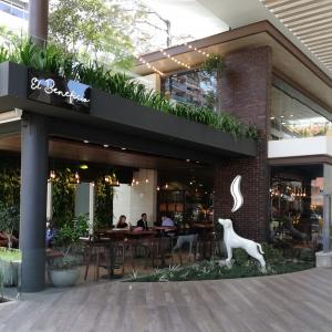 Cafe Barista (El Beneficio)