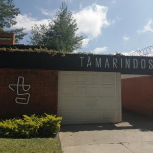 Tamarindos