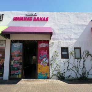 Iguanas Ranas