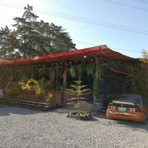 Loros y Pericos