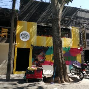 Jungle Burger Bar