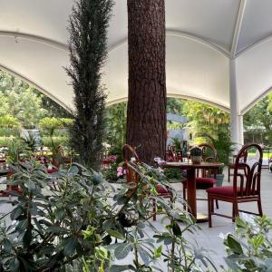 Ariana Bistro