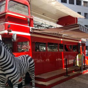 Saúl Bus Inglés