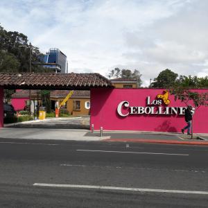 Los Cebollines (Zona 10)