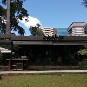 Ambia