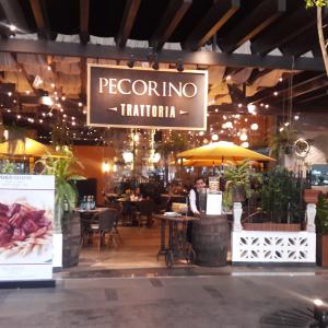 Pecorino Trattoria