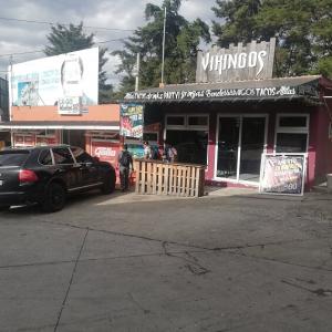 Vikingos