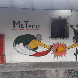 Mr. Taco (Zona 4)
