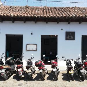 Paladar