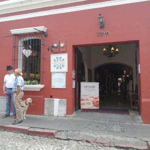 Guatelaria