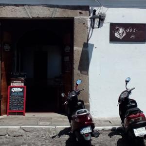 El Sabor Chapin