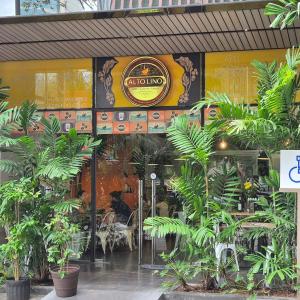 Café Alto Lino