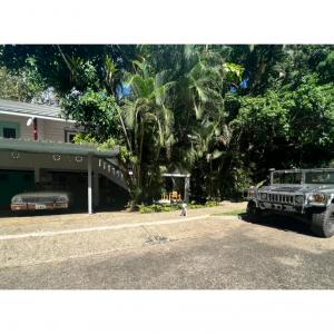 Treehouse Pizza Gamboa
