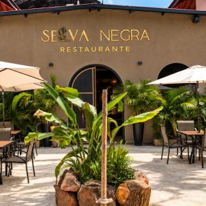 Selva Negra