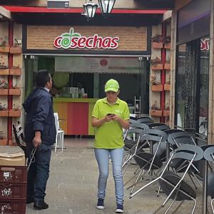 Cosechas (Santa Bárbara)