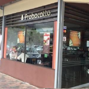 Probocatto