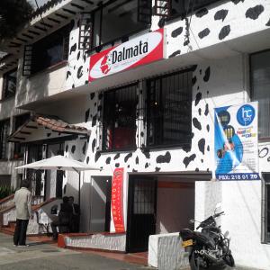 Dalmata