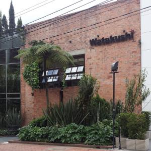 Watakushi (Zona T)