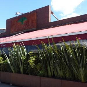 La Bonga del Sinú (Santa Barbara)