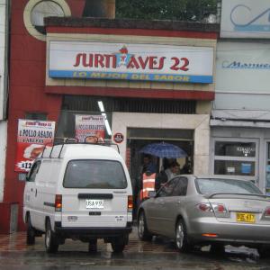 Surti Aves 22