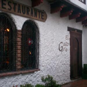 El Gato Gris