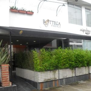 Bottega Firenze (Chico)