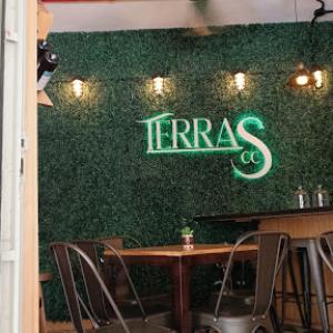 Terras