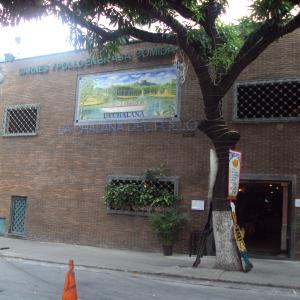 La Chalana del Pollo