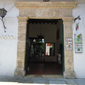 Donde Olano