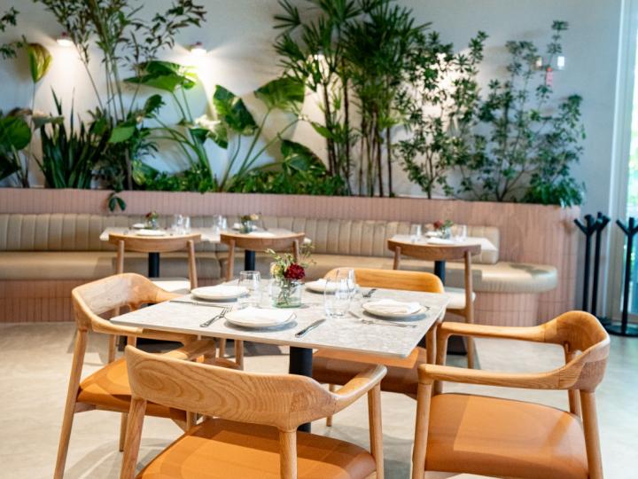 Botánica Pizza (Costa del Este)