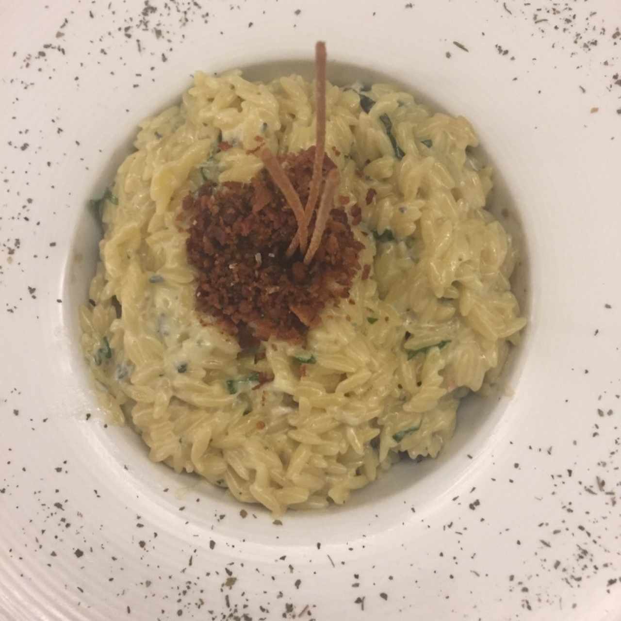 orzo con solomito en salsa de queso azul