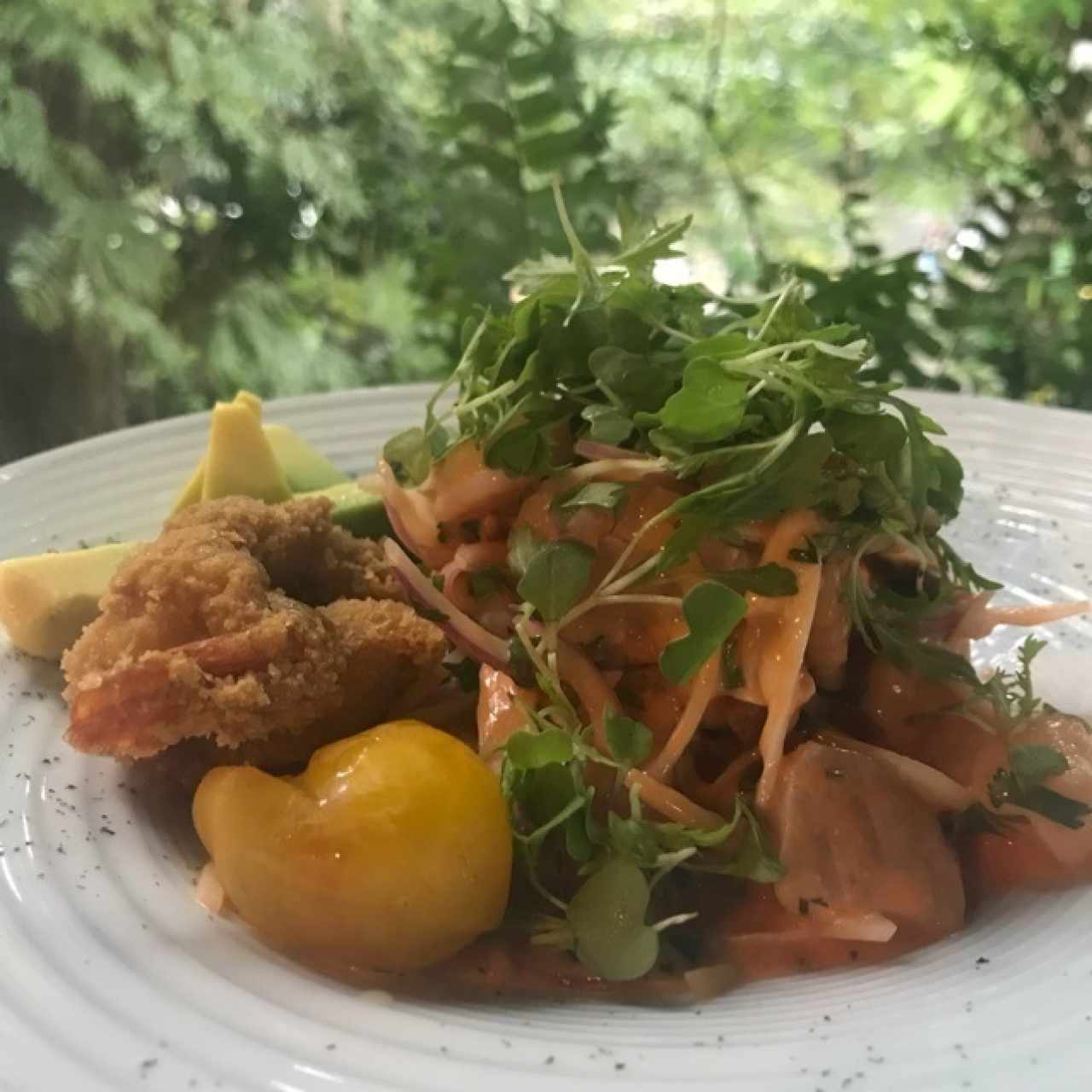 ceviche Rocoto