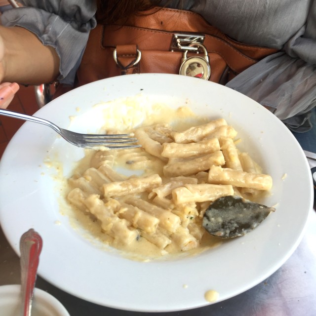 Pasta corta alfredo