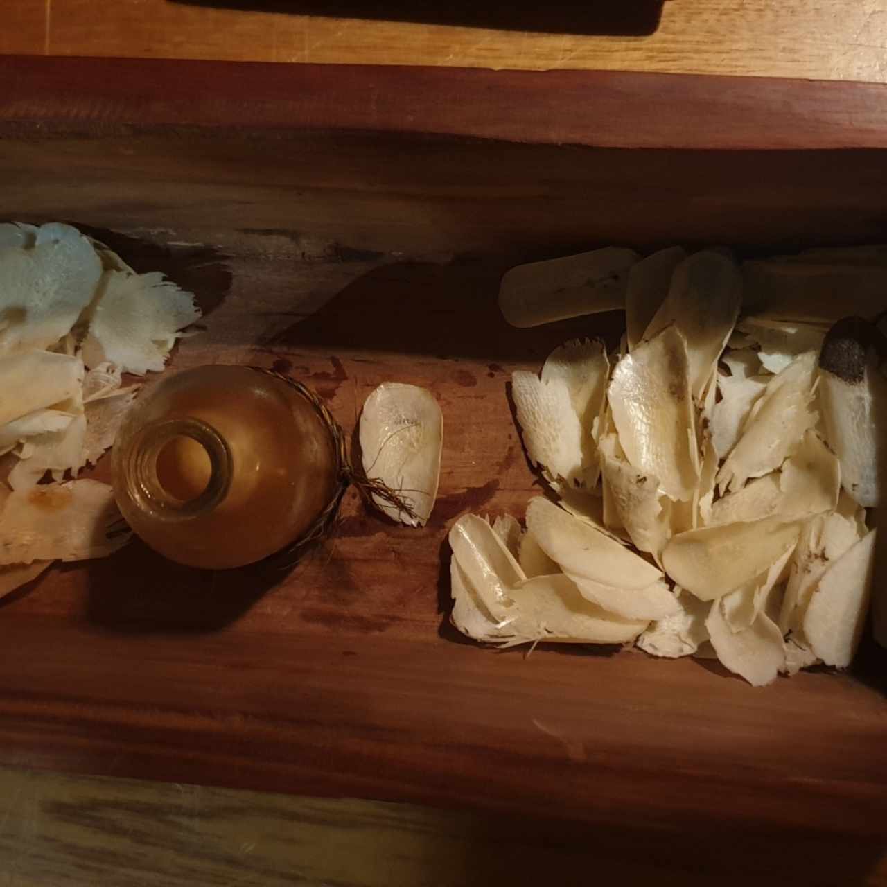 Bebida fermentada