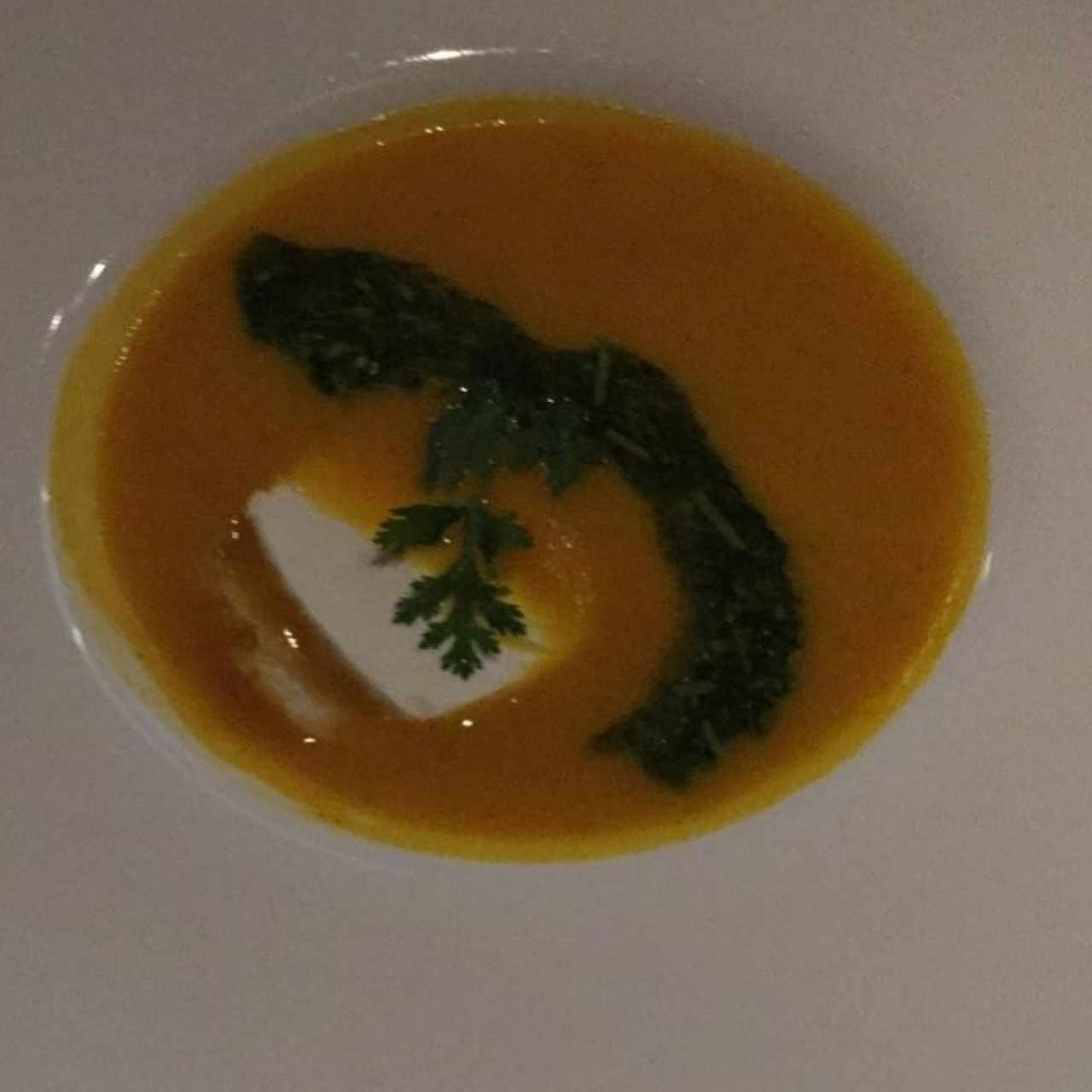Sopa Sol