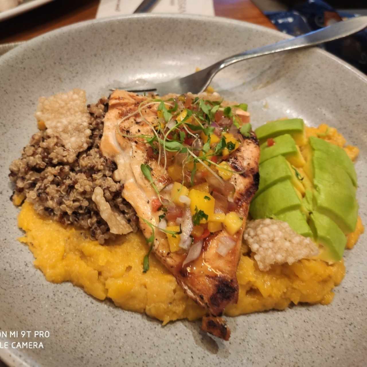 Tropical Salmon