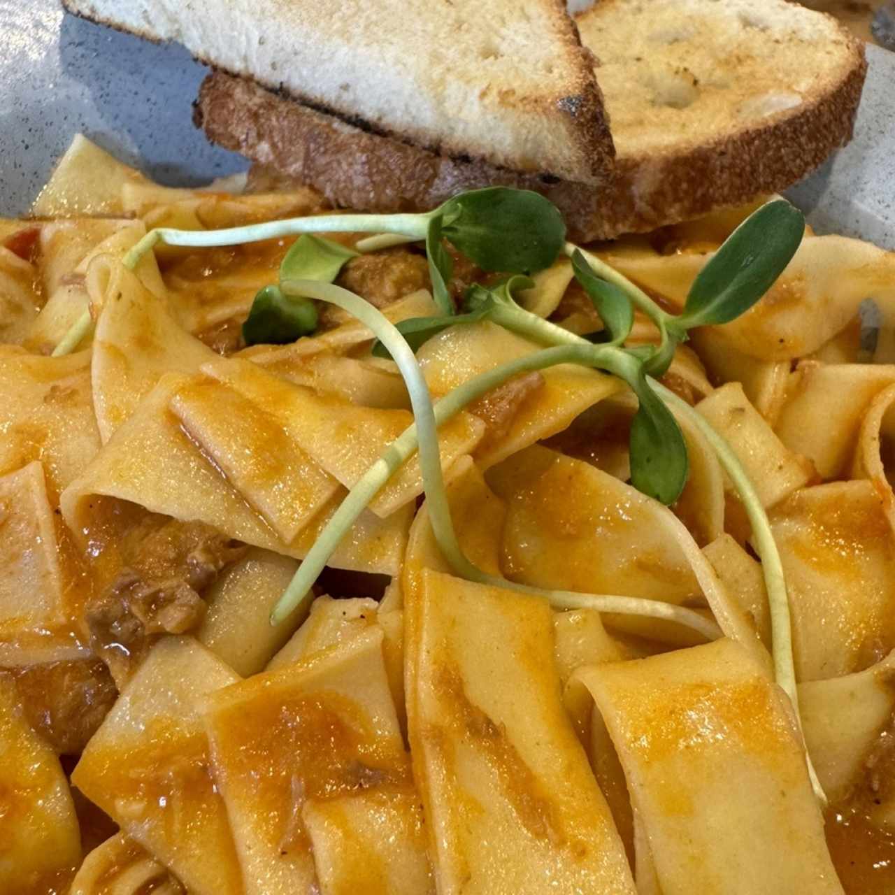 Pappardelle bolognesa