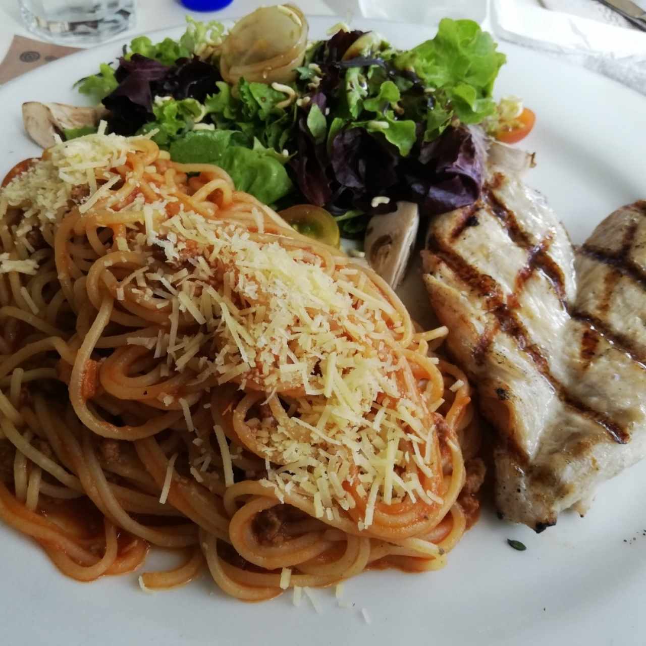 mixto de pollo con pasta