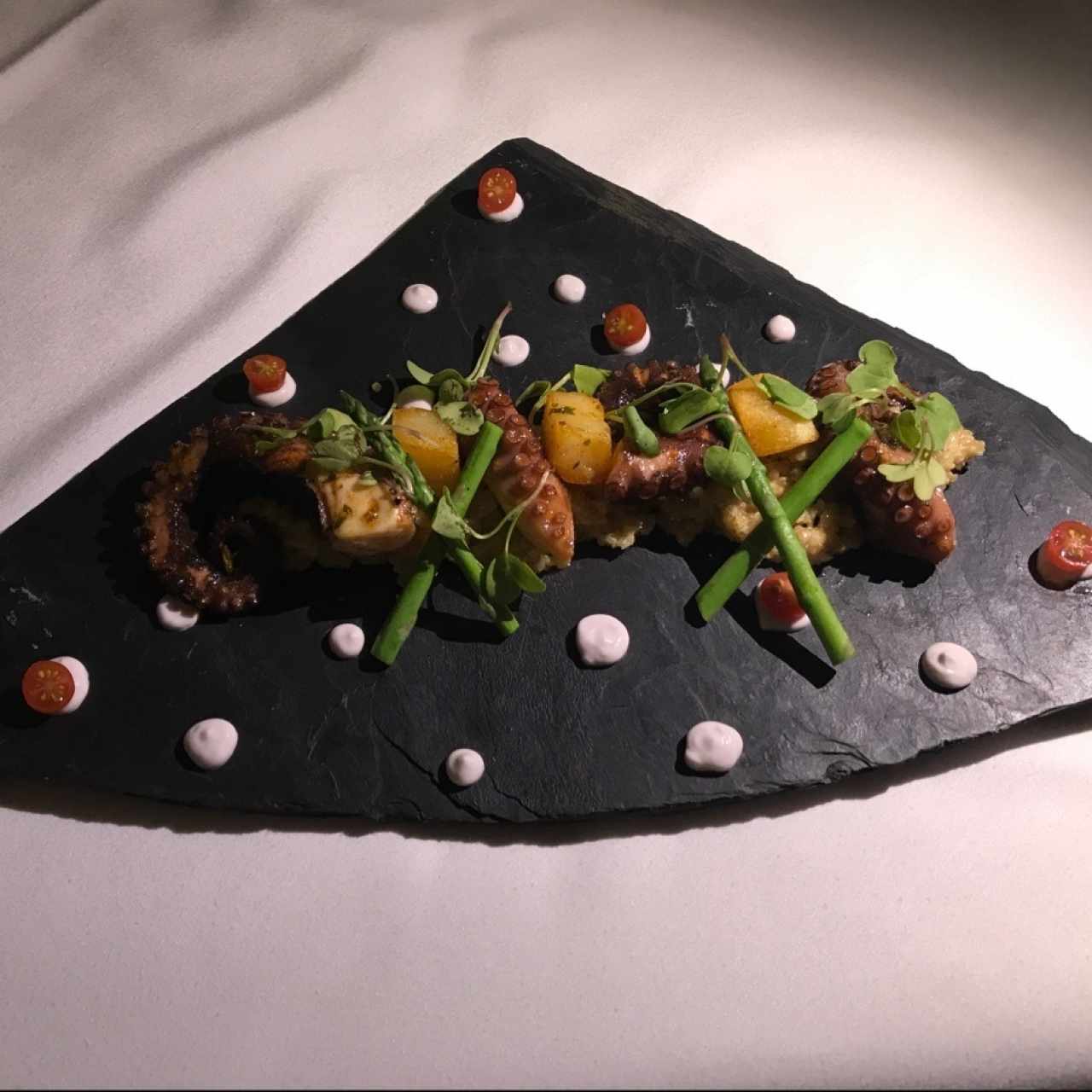 Pulpo de Galicia 