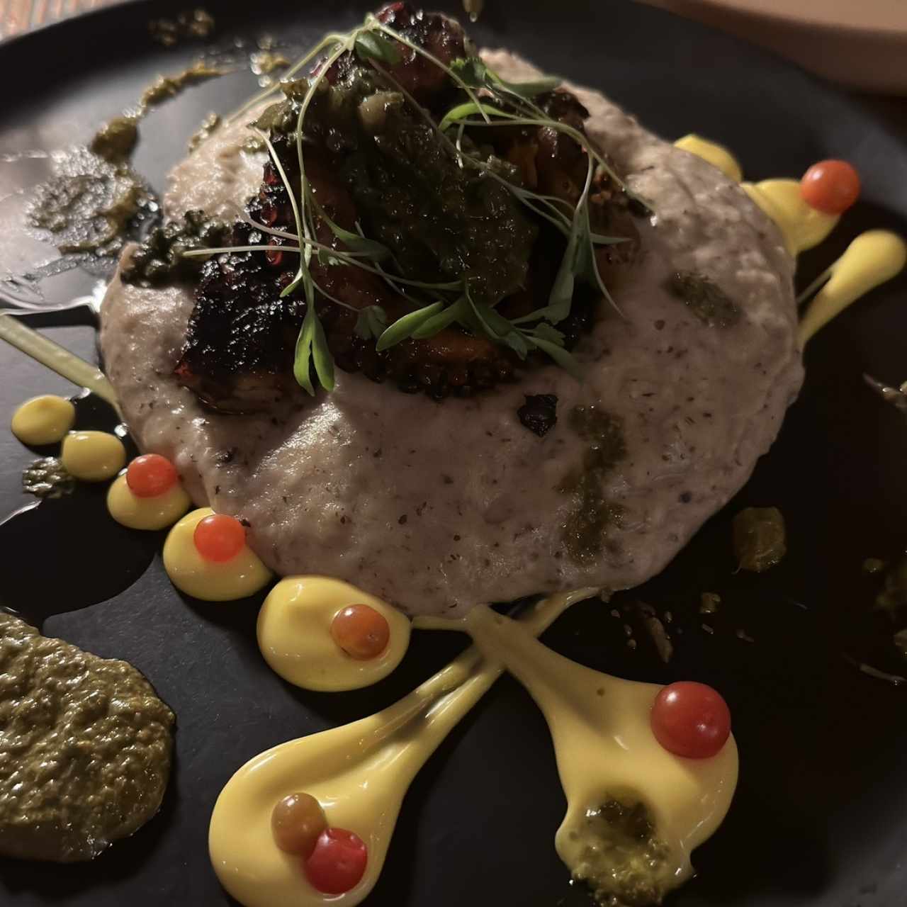 Pulpo de la  casa