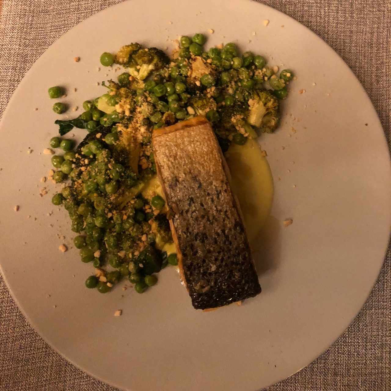 salmon