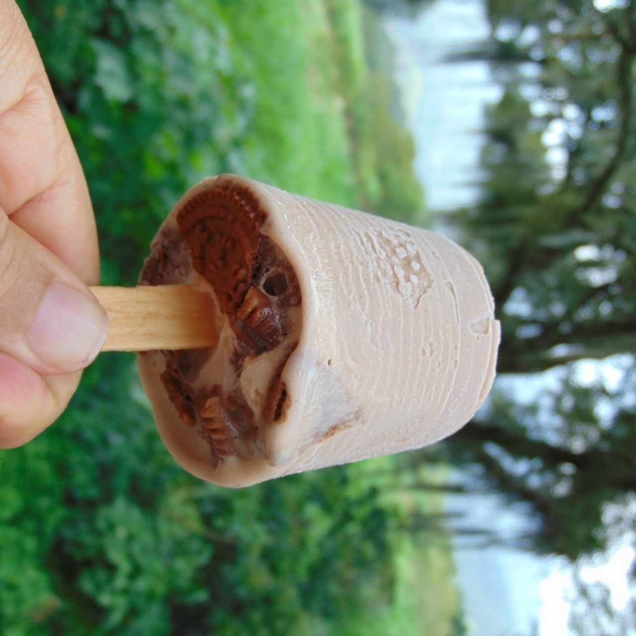 paleta de milo por edición especial